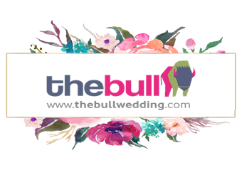 TheBull logo
